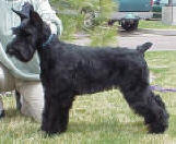 brook_4-mos.jpg