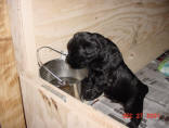 duncan-water.jpg